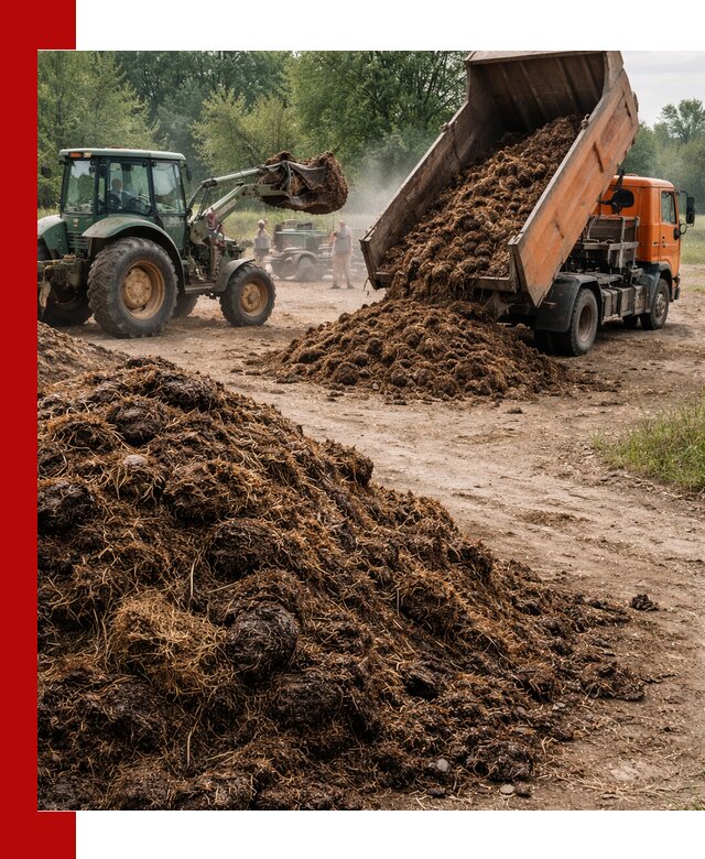 Доставка навоза самосвалами в Балтийске для сельхозпотребностей